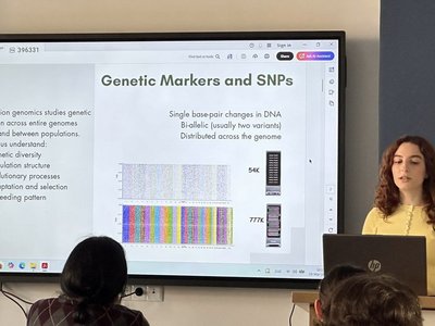 presentation by Shoghik Ghazaryan 