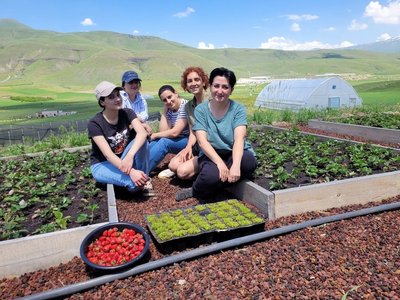 photo of project team members in field